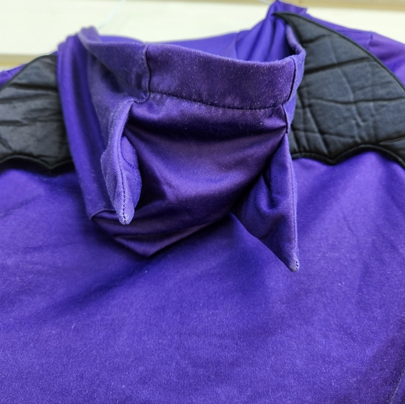 Batgirl Costume - Picture 3 of 3